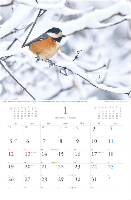 2025 Wild Birds Calendar (Wall Hanging)