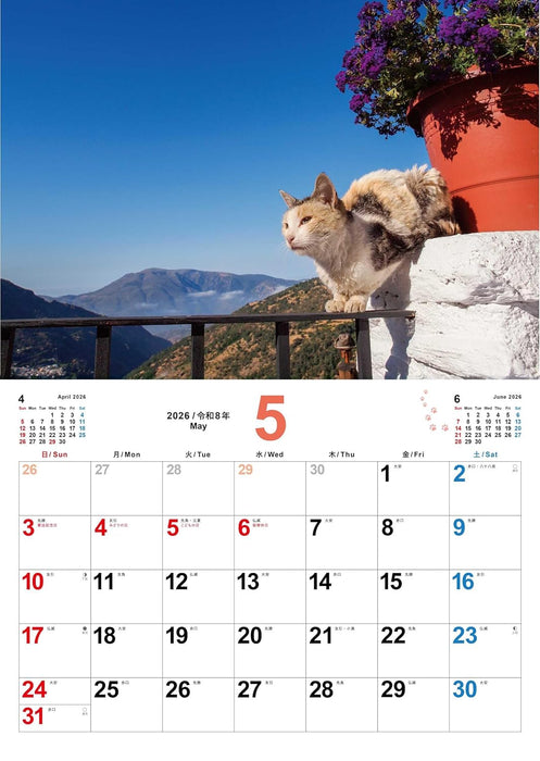 Neko Biyori 2026 Cat Calendar S13