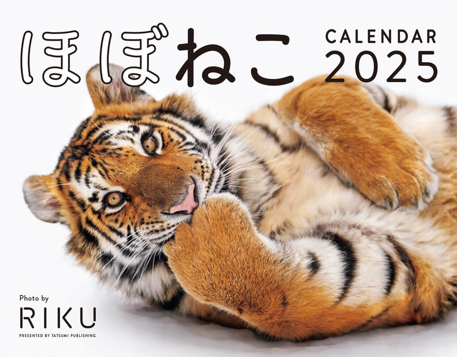 2025 Almost Cats Calendar