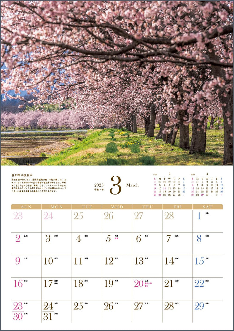 Discover Japan's Breathtaking Scenery: Seasonal Flowers Calendar 2025 (Monthly/Wall Calendar)