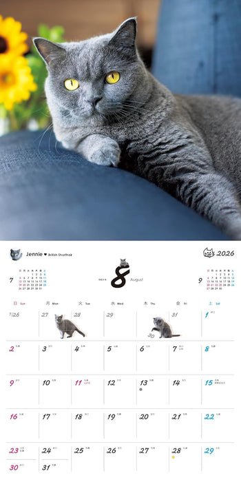 Orange Page Uchi no Nyanko. 2026 Wall Calendar