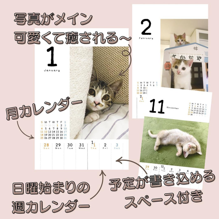 Koneko Mekuri 2026 Desk Calendar CK-C26-03