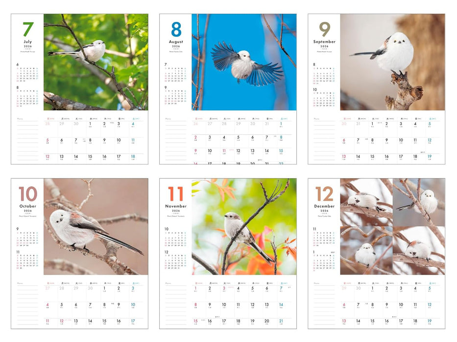 Plenty of Space Calendar: Fuwamofu Shimaenaga to Issho Calendar+Memo 2026 (Impress Calendar 2026)