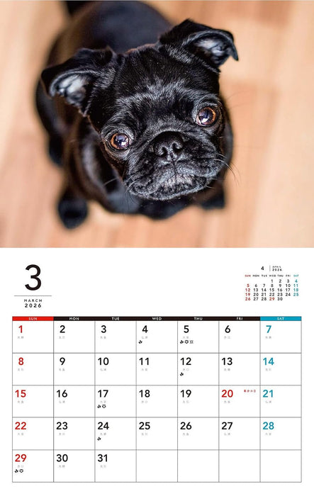 I LOVE Pug Calendar 2026 (Monthly/Wall Calendar)