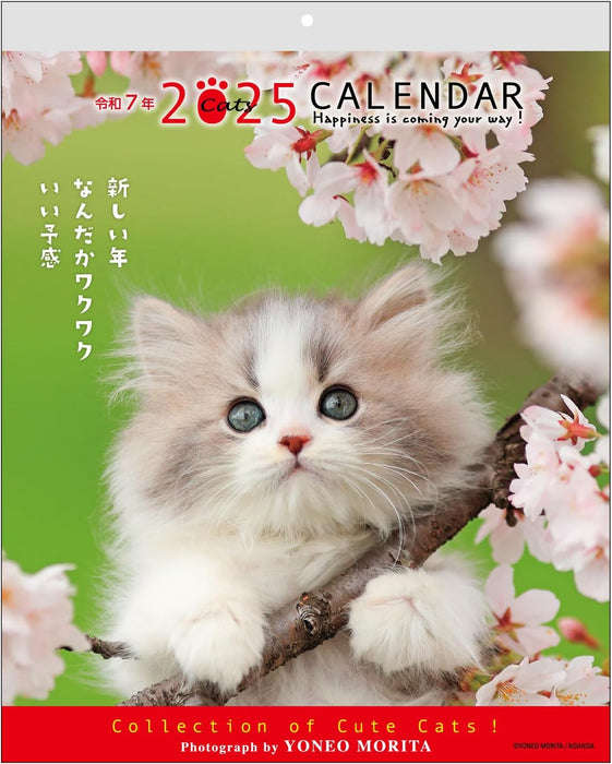 Active Corporation 2025 Wall Calendar Yoneo Morita Message Calendar CAT 25ACL-10