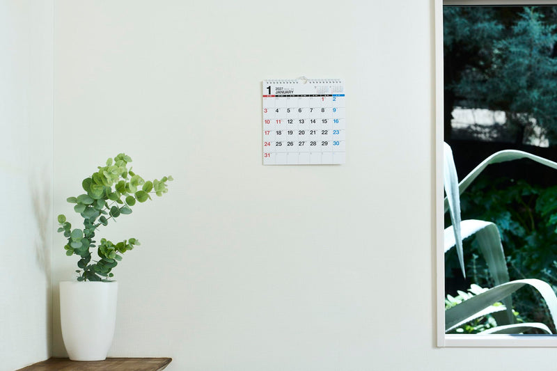 Eco Wall Calendar 2027 Modified A4 E66