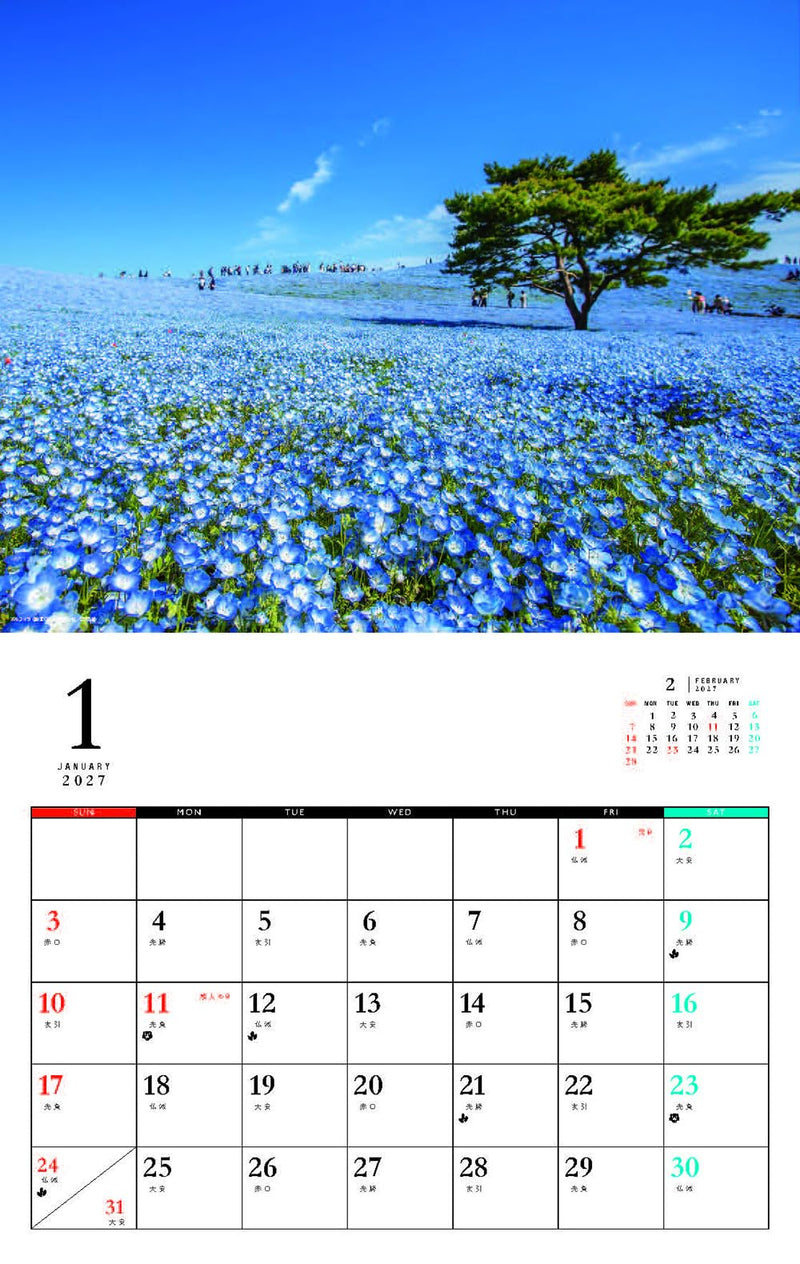 Relaxing Flowers Place Calendar 2027 (Monthly/Wall Calendar)