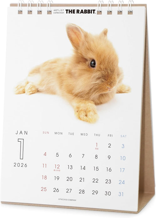 THE RABBIT 2026 Desk Calendar
