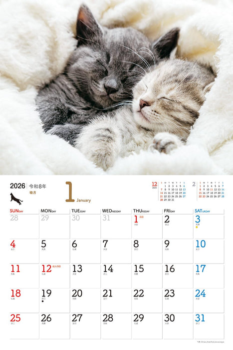 JTB Calendar Nyanko 2026 Wall Calenda