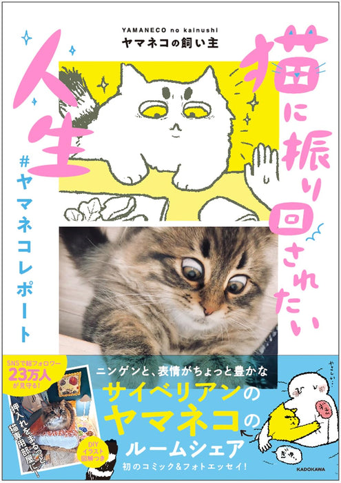 Neko ni Furimawasaretai Jinsei #YamanekoReport