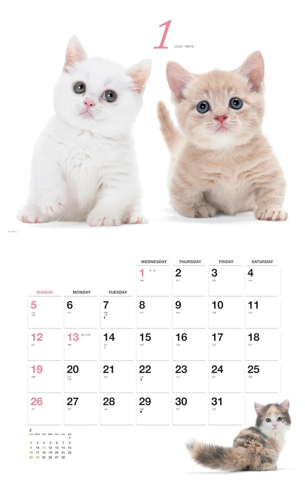 2025 Honobono Koneko Calendar (Monthly/Wall Calendar)