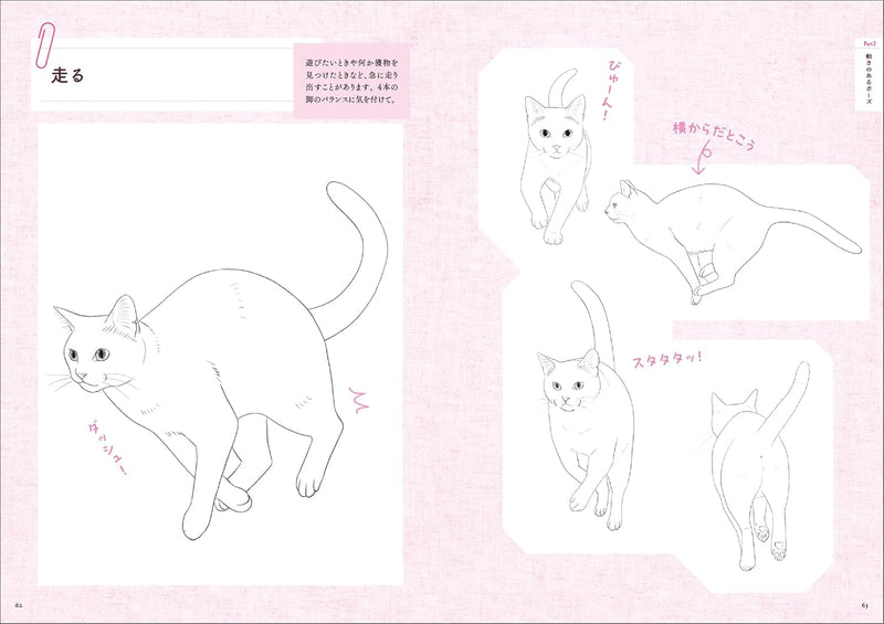 Cat Illustration Pose Collection