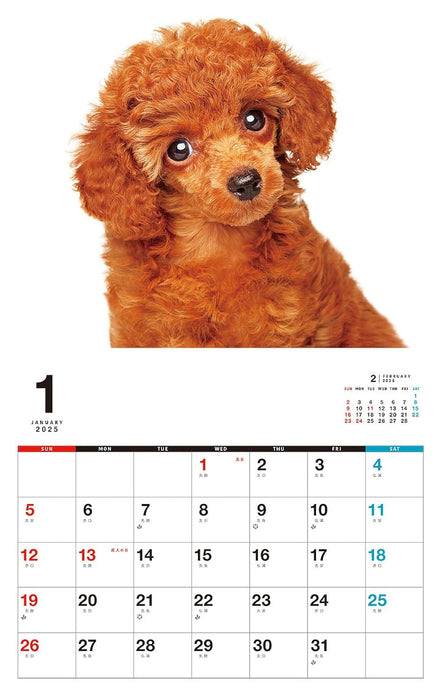 I LOVE Poodle Calendar 2025(Monthly/Wall Calendar)