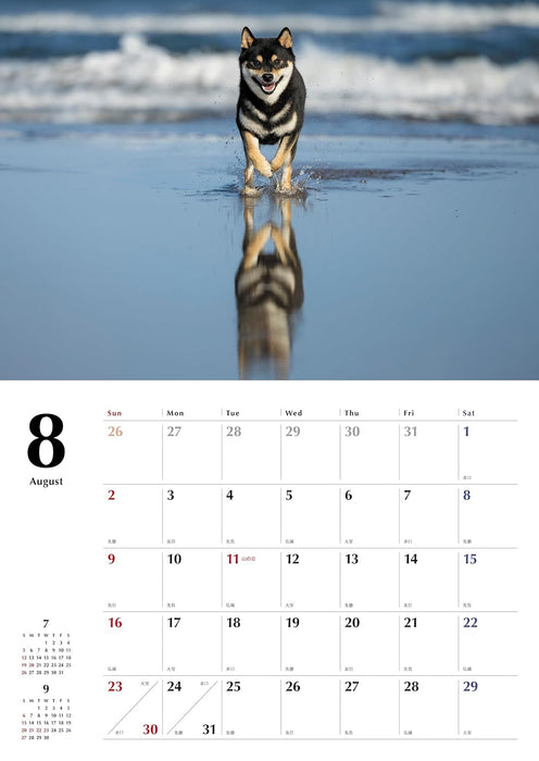 Black Shiba Inu Calendar 2026 (Wall Calendar)