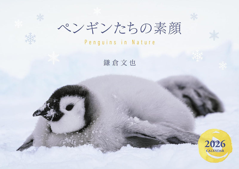 Penguins in Nature Calendar 2026