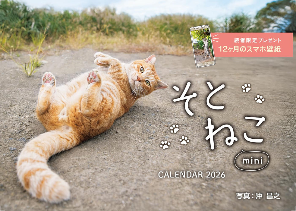 Soto Neko mini Calendar 2026 (Impress Calendar 2026)