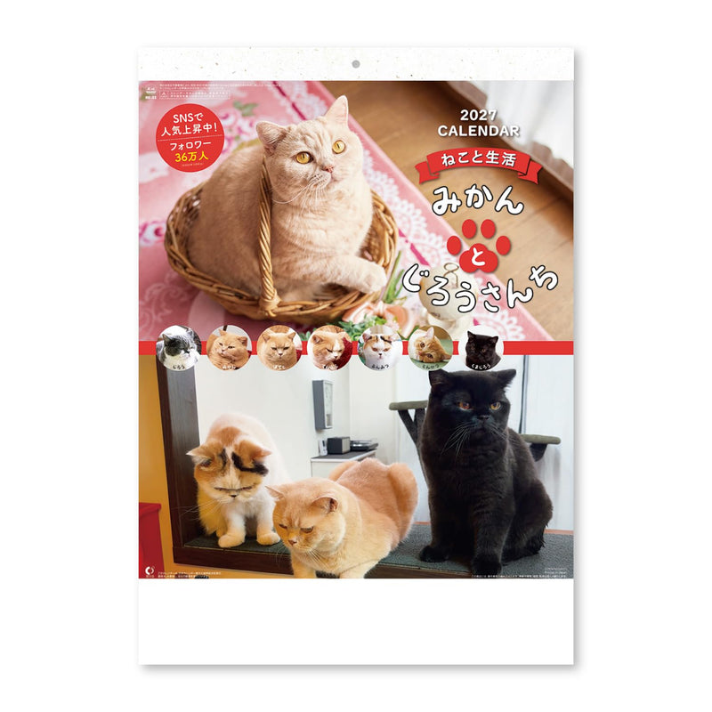 New Japan Calendar 2027 Wall Calendar Life with Cats Mikan to Jirousan Chi NK33