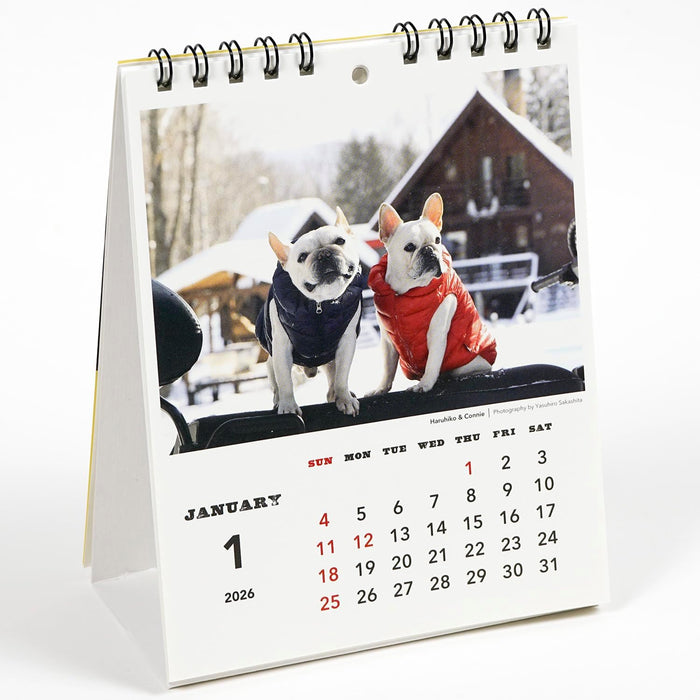 Greeting Life 2026 Desk Calendar NATSUHIKO FAMILY C-1690-NA