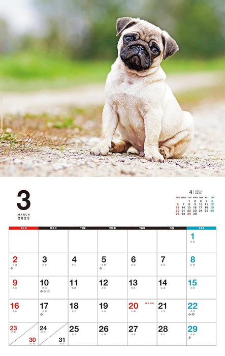 I LOVE Pug Calendar 2025 (Monthly/Wall Calendar)