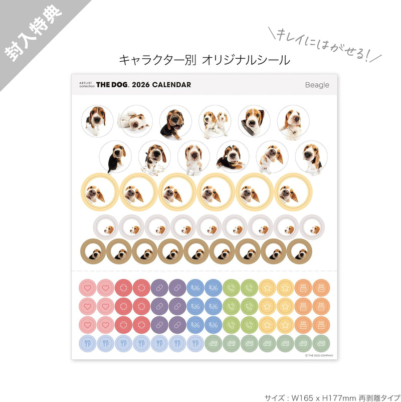THE DOG 2026 Wall Calendar Mini Size [Beagle]