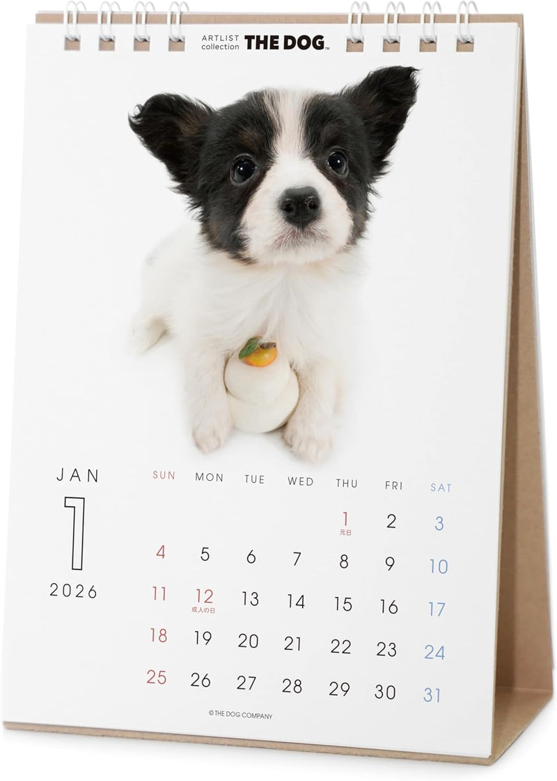 THE DOG 2026 Desk Calendar [Papillon]