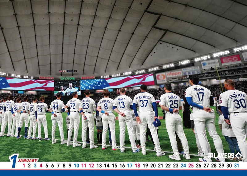 Ensky Dodgers 2026 Desk Calendar 16 x 21cm CL-556