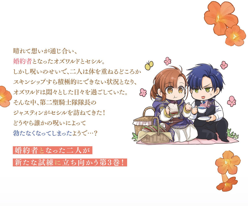 Ochikobore Shiro Madoushi Cecil wa Taishougai no Hazu deshita 3