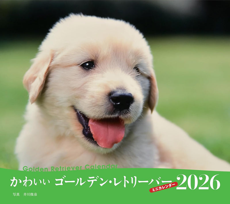 2026 Adorable Golden Retriever Calendar (Seibundo-shinkosha Calendar)