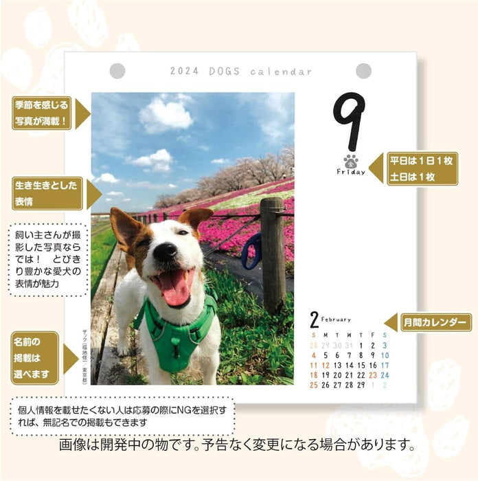 CO2 Dogs 2025 Page-A-Day Calendar CK-D25-01