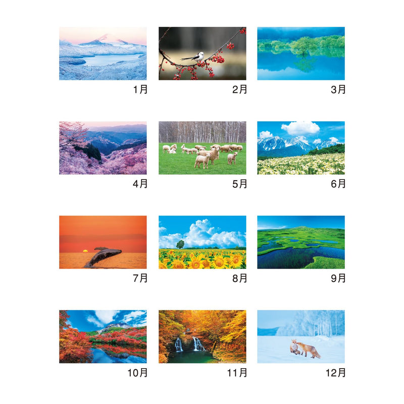 New Japan Calendar 2027 Wall Calendar Forever Japan NK142 610x425mm