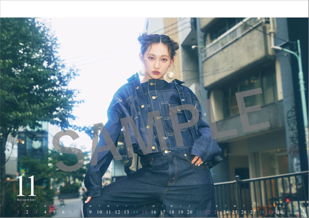 Hagoromo Rikako Sasaki 2026 Desk Calendar CL26-0179