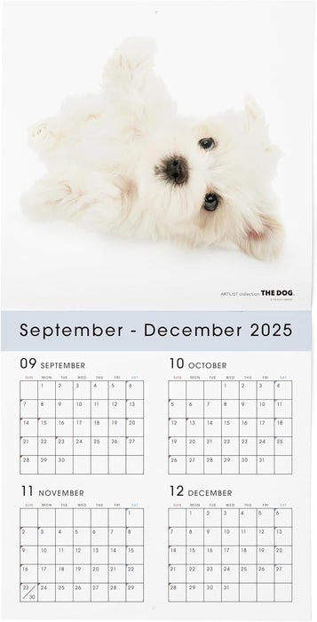 THE DOG 2026 Wall Calendar Large Size [Maltese]