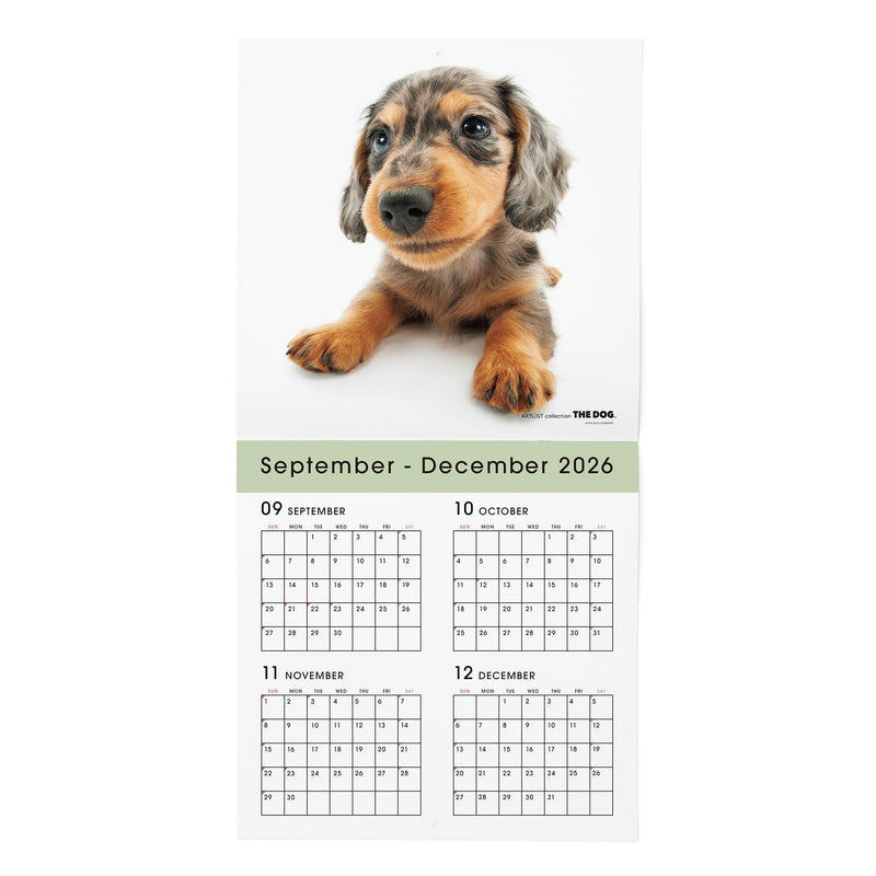 THE DOG 2027 Wall Calendar Mini Size [Welsh Corgi]