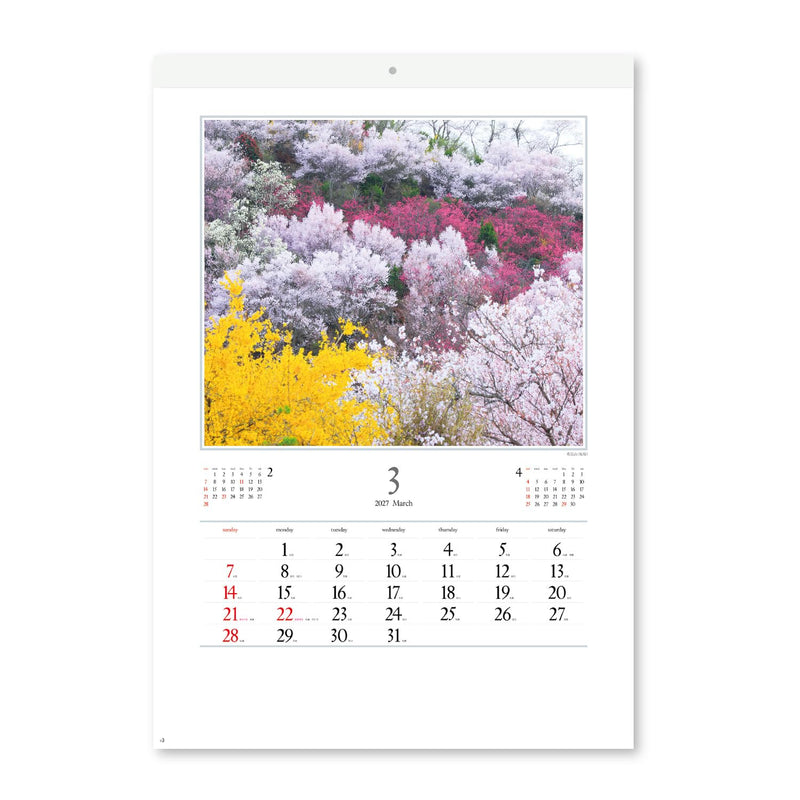 New Japan Calendar 2027 Wall Calendar The Beautiful Morning in Japan 610 x 425mm NK137