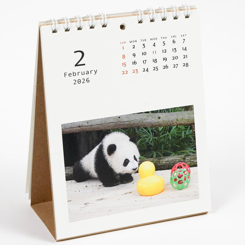 Greeting Life 2026 Desk Calendar Panda C-1689-PA
