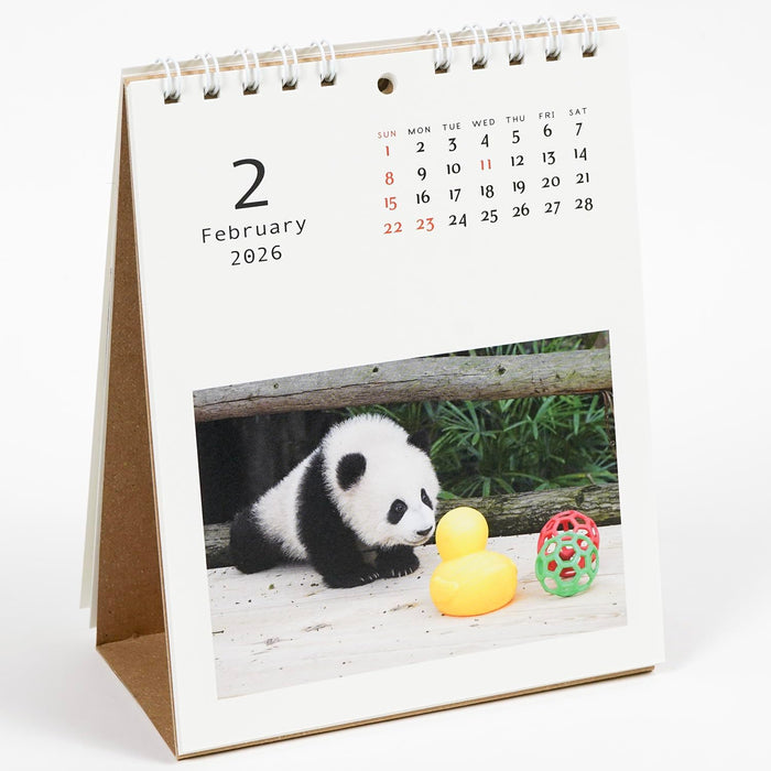 Greeting Life 2026 Desk Calendar Panda C-1689-PA