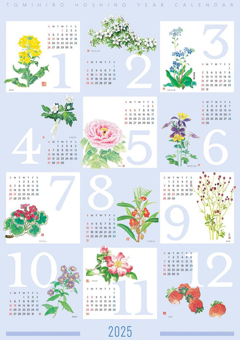 Tomohiro Hoshino 2025 Wall Calendar No.6025