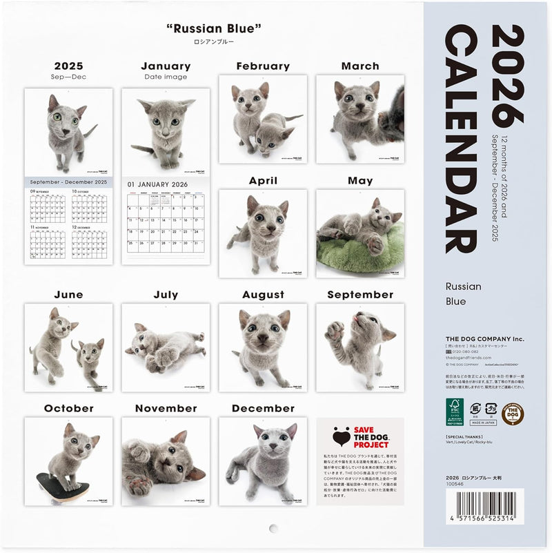 THE CAT 2026 Wall Calendar Large Size [Russian Blue]
