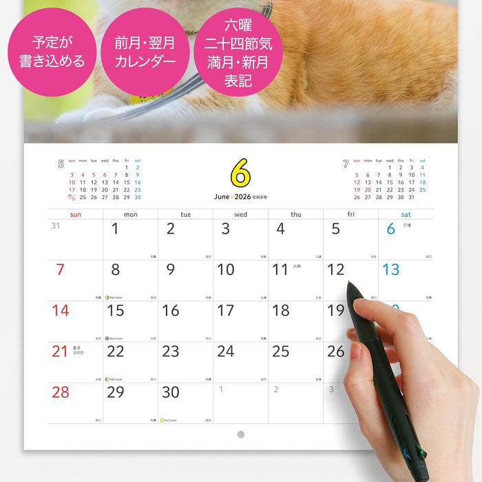 Sanjuro, Cat Lord of the Castle 2026 Calendar