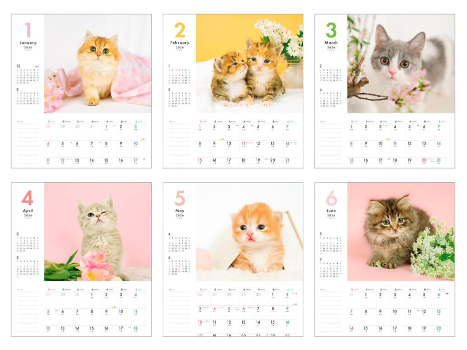 Plenty of Writing Space Calendar 2026: Together with Kittens Calendar + Memo (Impress Calendar 2026)