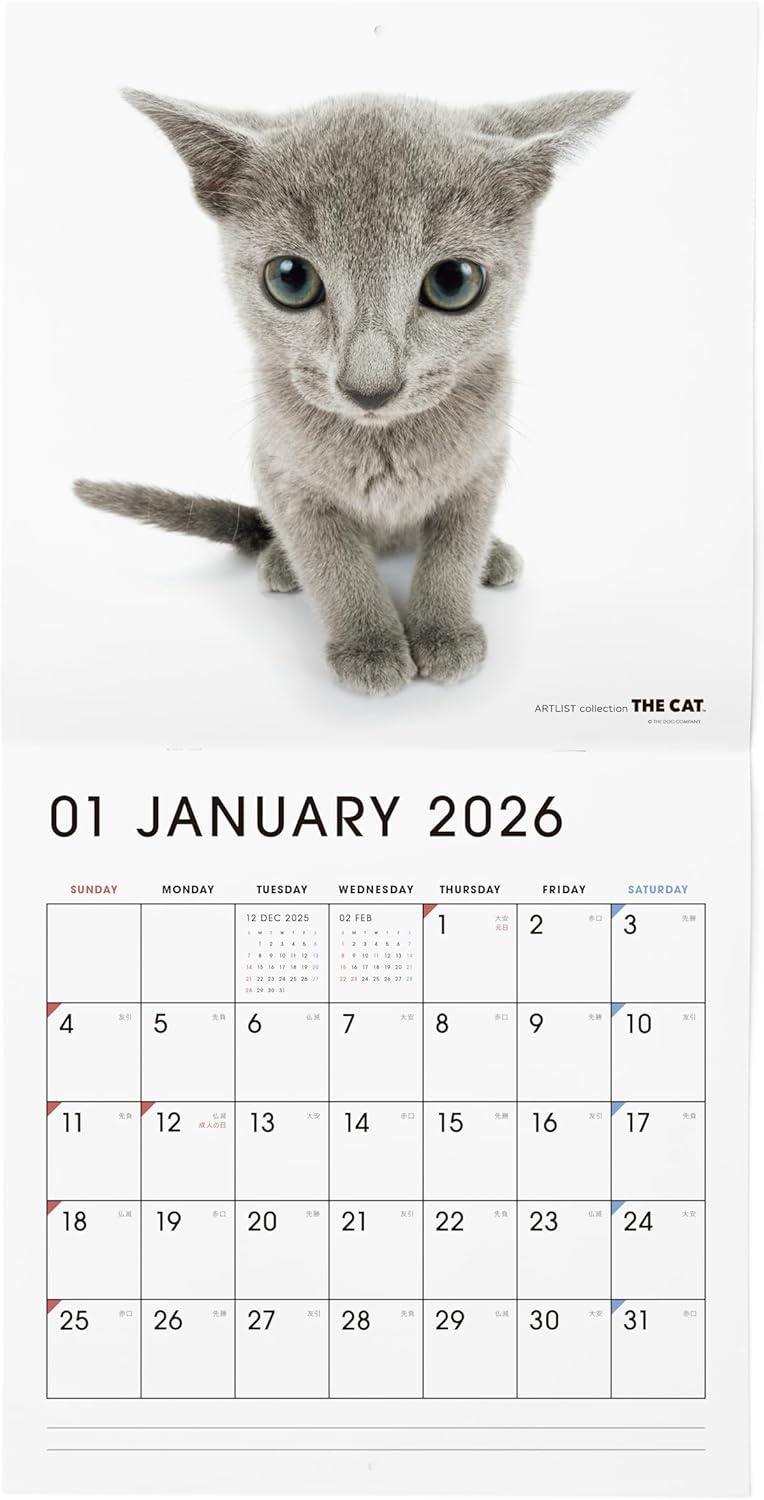 THE CAT 2026 Wall Calendar Large Size [Russian Blue]