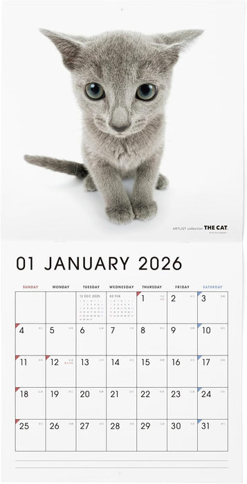 THE CAT 2026 Wall Calendar Large Size [Russian Blue]