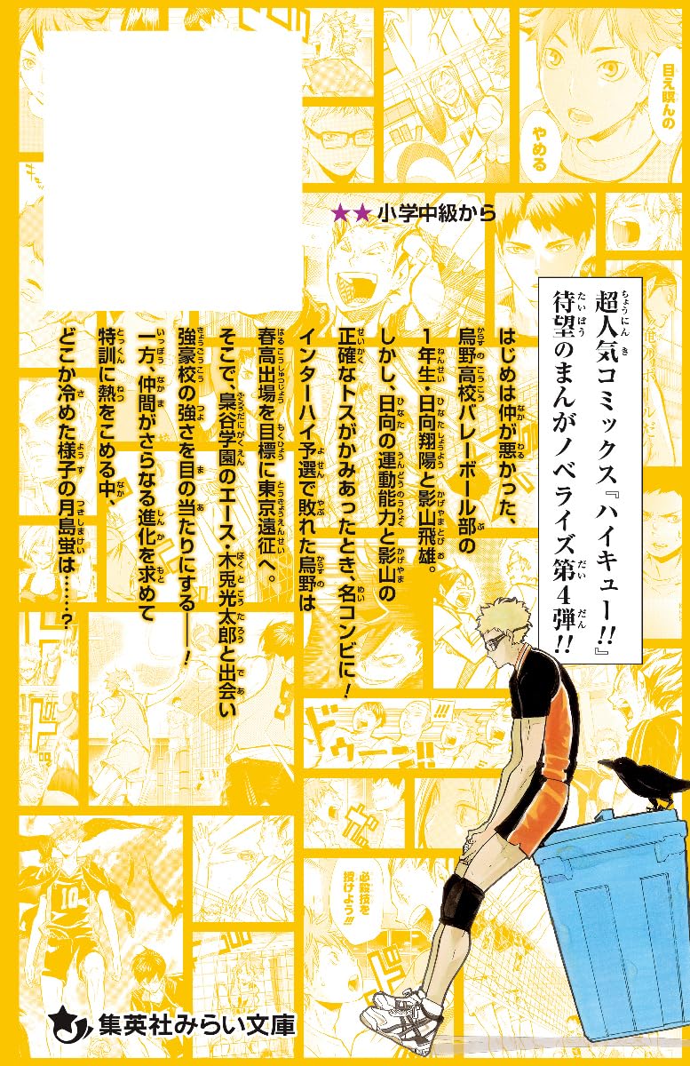 Haikyu!! Manga Novelize Mosa Fukurodani Gakuen tono Deai Special Edition