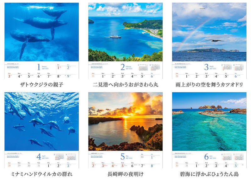 Shashin Koubou Calendar 'Great Oceanic Islands OGASAWARA' 2027 Wall Calendar (with Paper Holder)