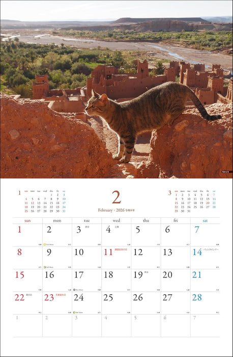 Mitsuaki Iwago World Cat Calendar 2026 (Monthly / Wall Calendar)