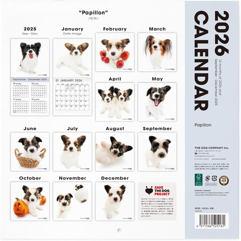 THE DOG 2026 Wall Calendar Large Size [Papillon]