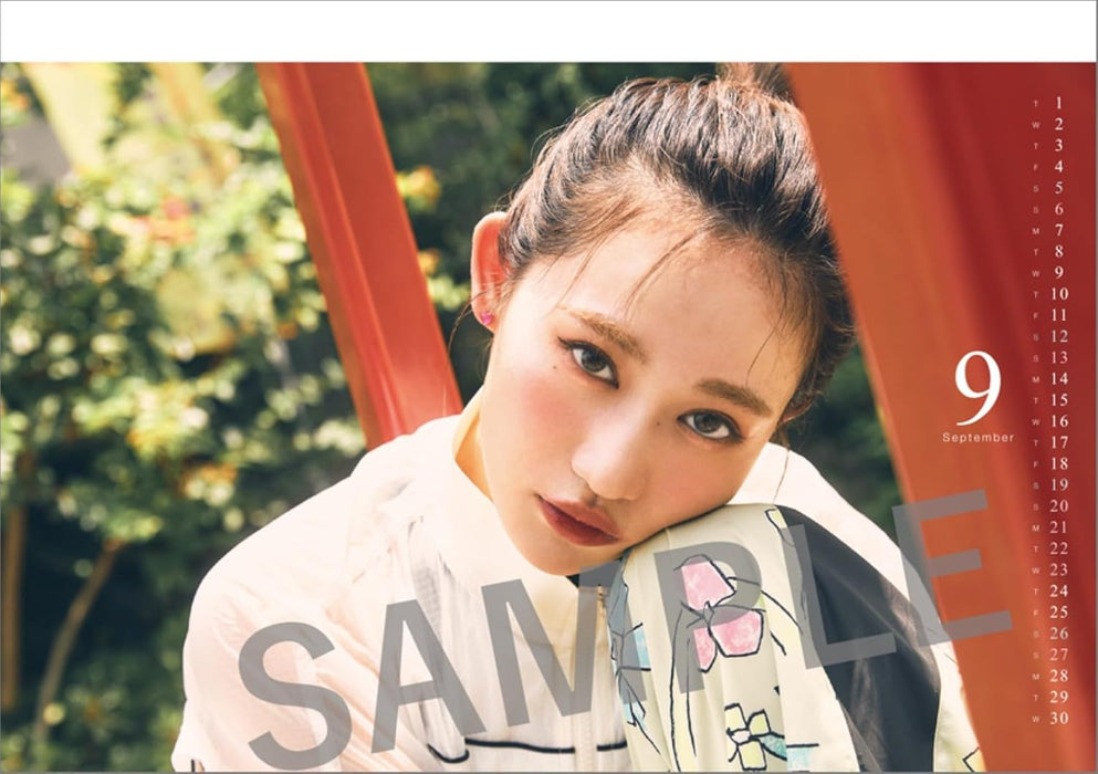 Hagoromo Rikako Sasaki 2026 Desk Calendar CL26-0179