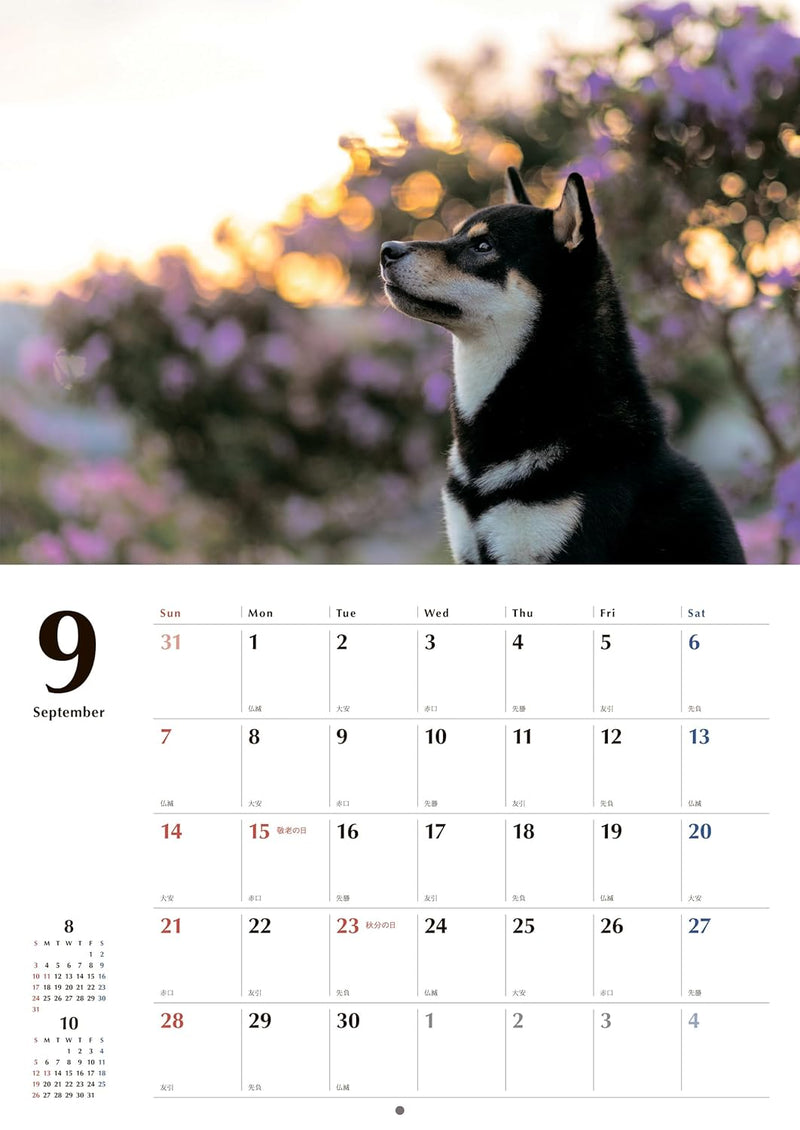 Black Shiba Inu Calendar 2025 (Wall Calendar)