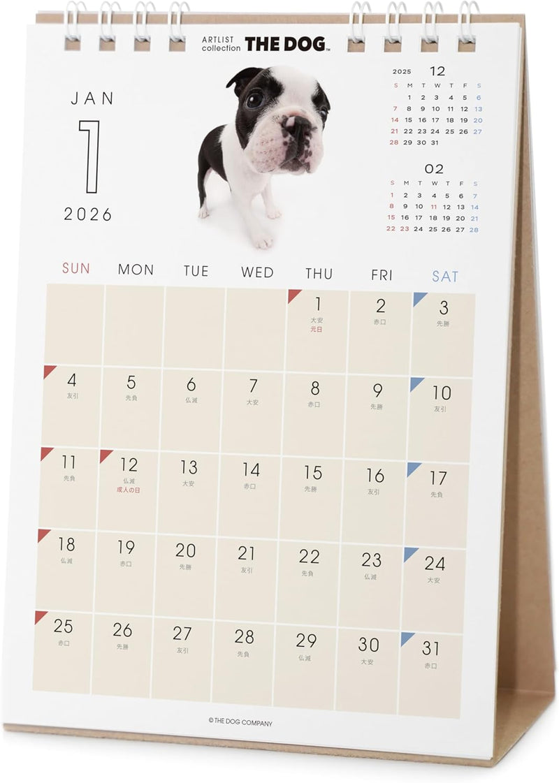 THE DOG 2026 Desk Calendar [Boston Terrier]