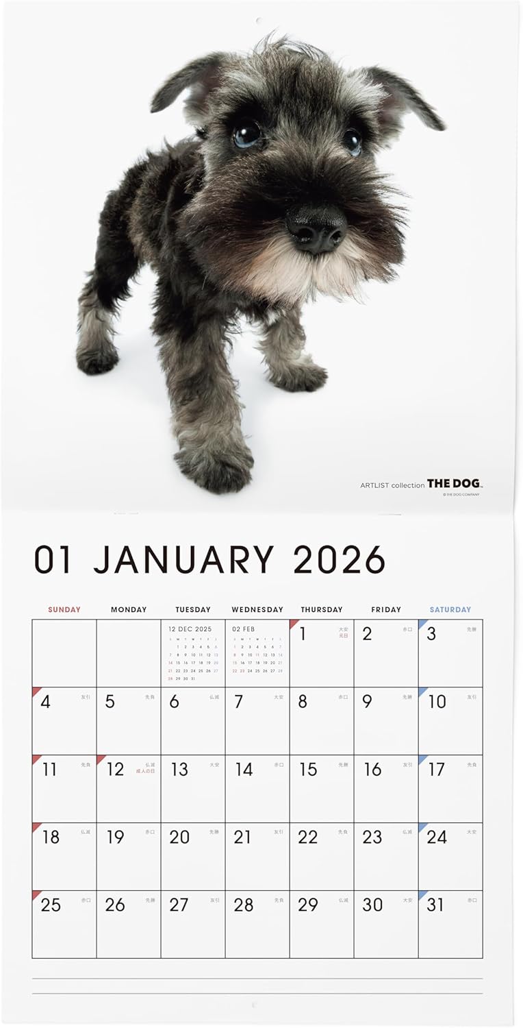 THE DOG 2026 Wall Calendar Large Size [Miniature Schnauzer]